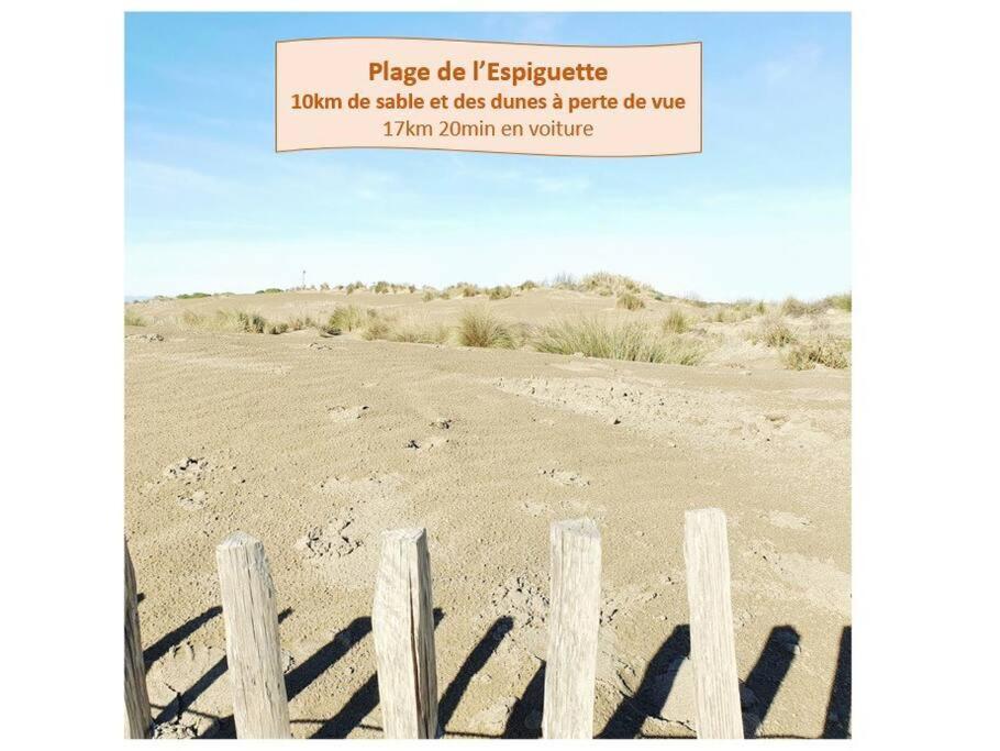 Suite Maya Parking Clim Wifi Centre-Ville Et Port - Rossiconciergerie - Linge Inclus La Grande-Motte Kültér fotó