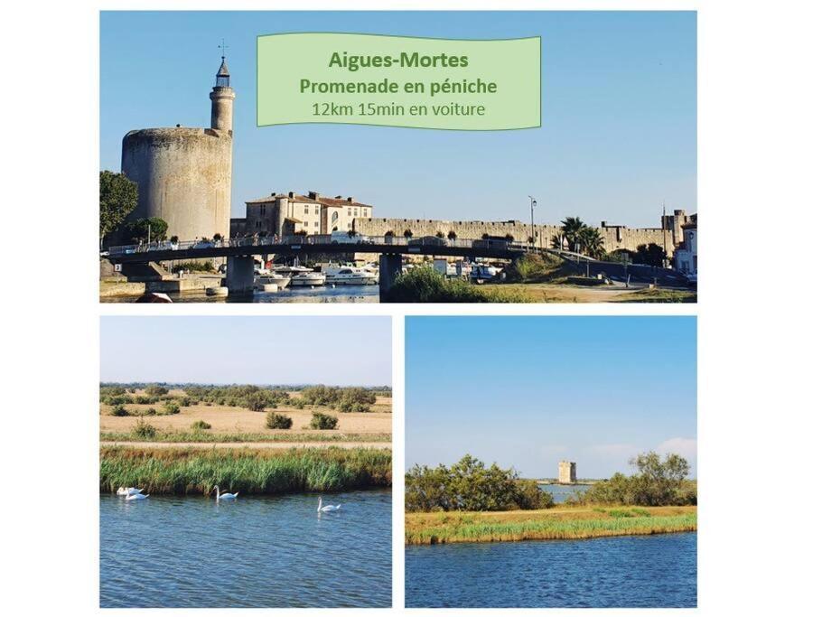 Suite Maya Parking Clim Wifi Centre-Ville Et Port - Rossiconciergerie - Linge Inclus La Grande-Motte Kültér fotó